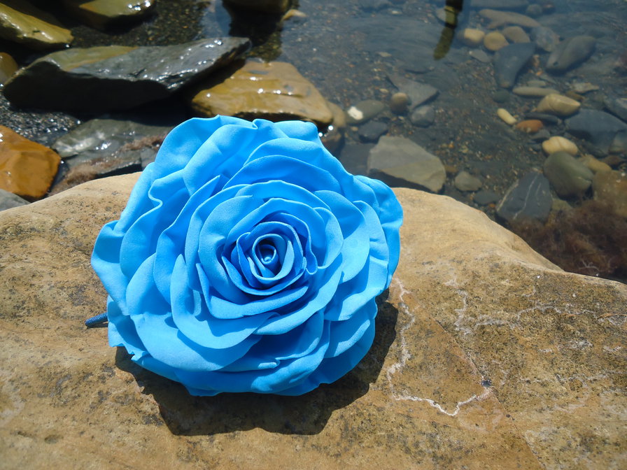 Роза - роза, отдых, лето, море, камни, цветок - оригинал