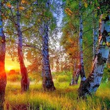 Схема вышивки «Осенний закат»