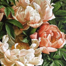 Схема вышивки «Пионы»