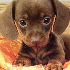 Схема вышивки «Маленькое чудо»