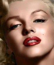 Схема вышивки «Мэрлин»