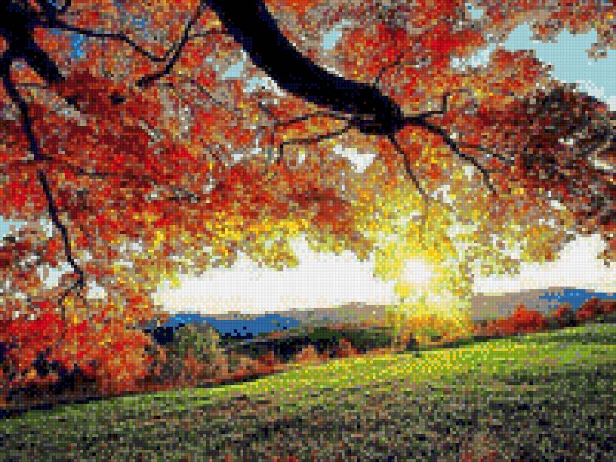 Осень - предпросмотр