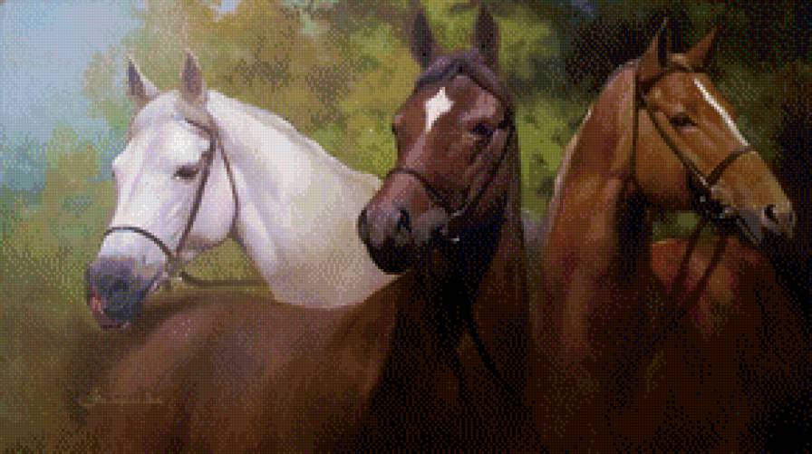 Кони - кони, лошадь - предпросмотр