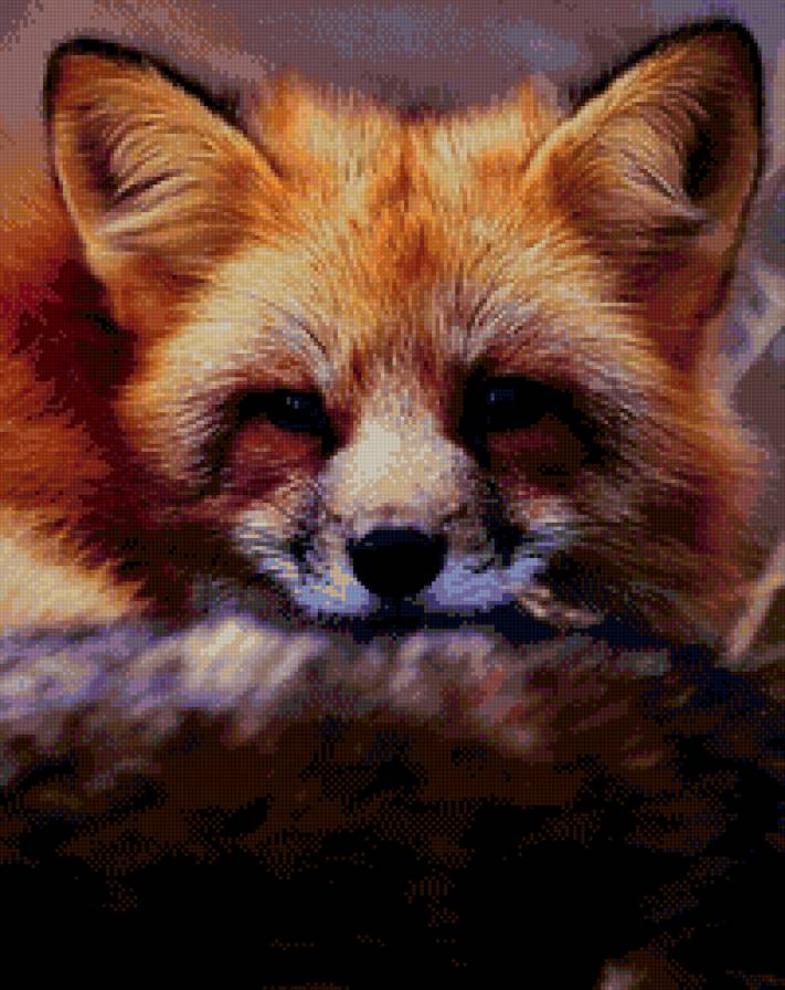 Лиса - лиса, животные - предпросмотр