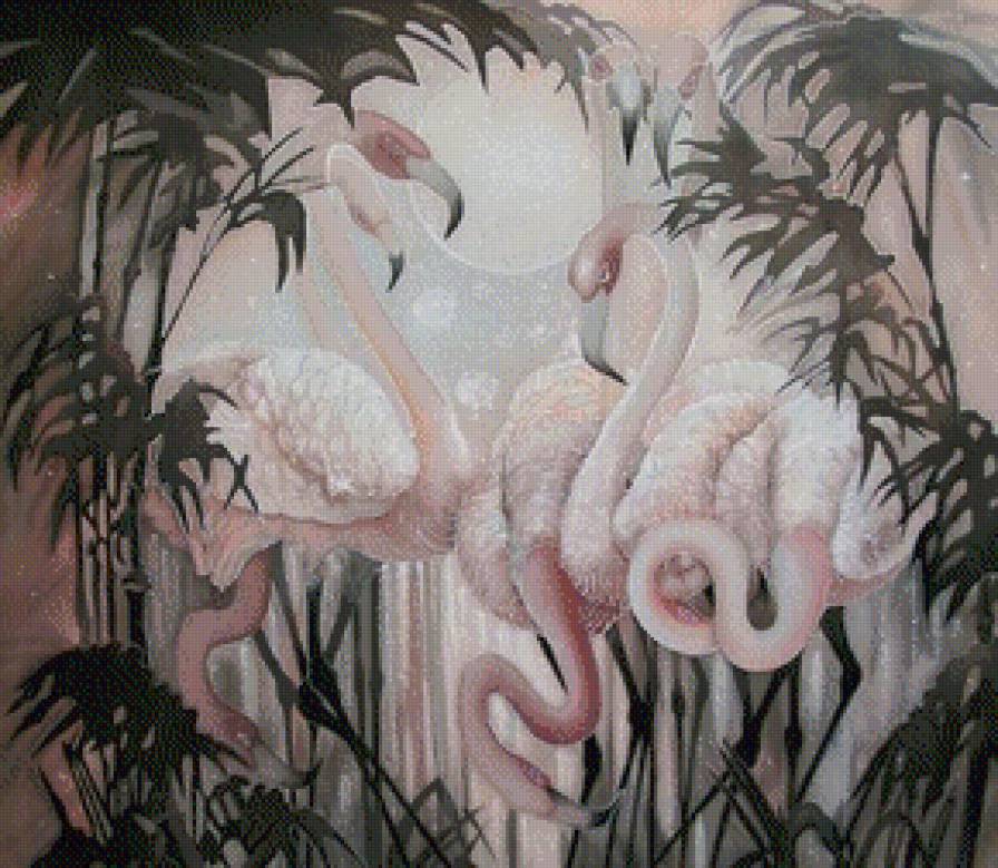 Фламинго - птицы, фламинго - предпросмотр