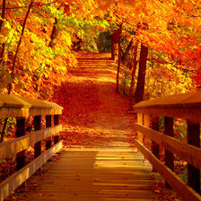 Схема вышивки «Осень»