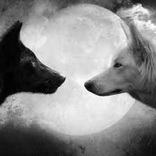 Схема вышивки «волки»