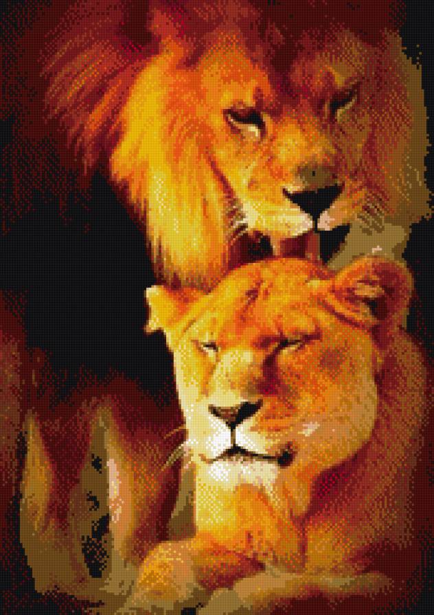 Лев и львица - лев, львица - предпросмотр