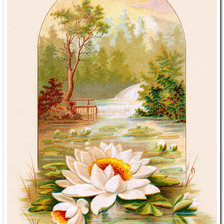Схема вышивки «водные лилии»