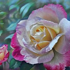 Схема вышивки «Розы»