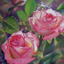 Схема вышивки «Розы»