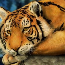 Схема вышивки «тигр»