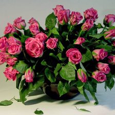 Схема вышивки «розы»