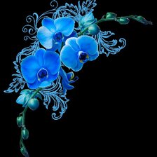 Схема вышивки «Метрика. Орхидеи.»