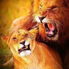 Схема вышивки «страсть»