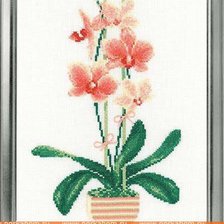 Схема вышивки «орхида»