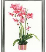 Схема вышивки «орхида»