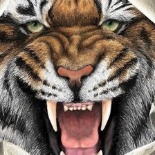 Схема вышивки «Тигр»