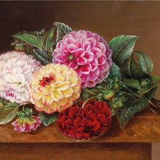 Схема вышивки «№1050582»