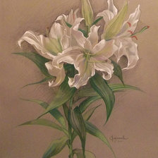 Схема вышивки «ЛИЛИИ»