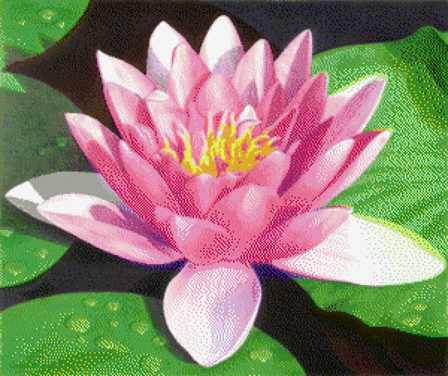 49З6 - предпросмотр