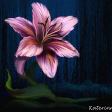 Схема вышивки «ЛИЛИЯ»