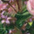 Предпросмотр схемы вышивки «Пионы» (№1051560)