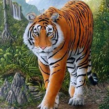 Схема вышивки «Тигр»