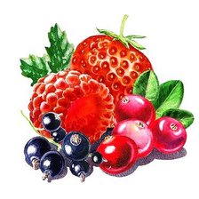 Схема вышивки «Витаминки))))»