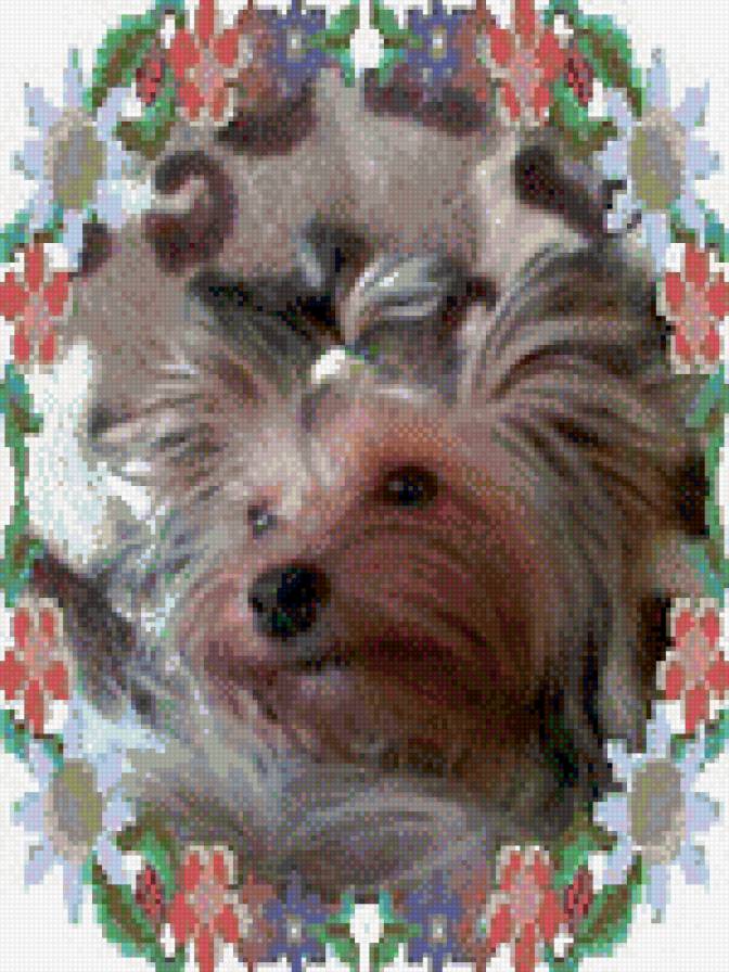 ЛАКИ - самый веселый и озорной. - предпросмотр