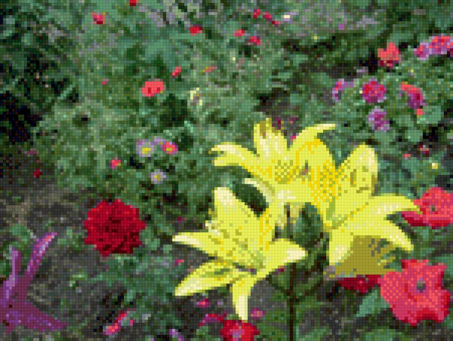 Лилии - предпросмотр