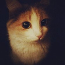 Схема вышивки «воапву»