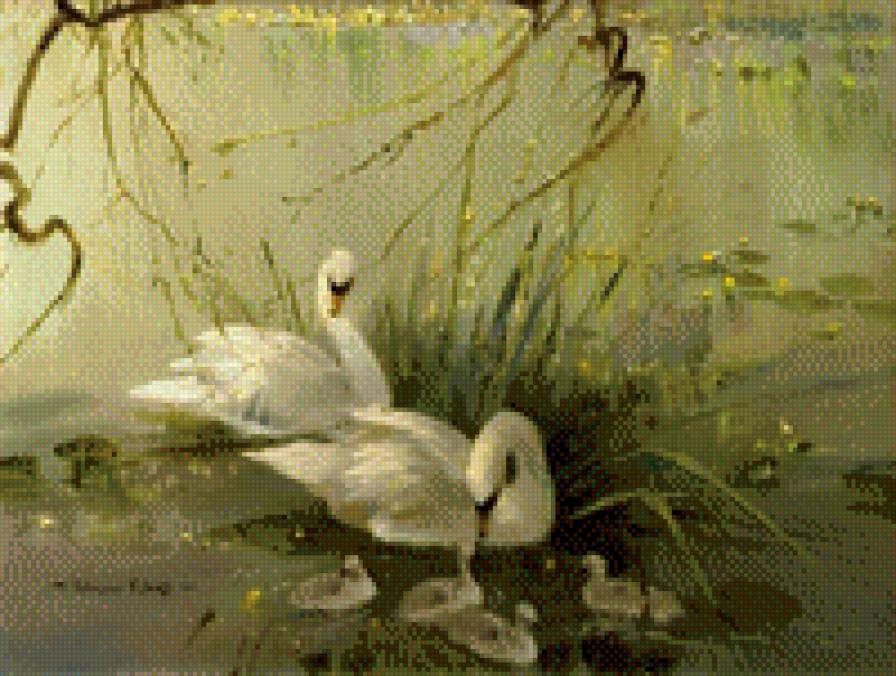 лебеди на озере - пруд, лебеди, семья - предпросмотр