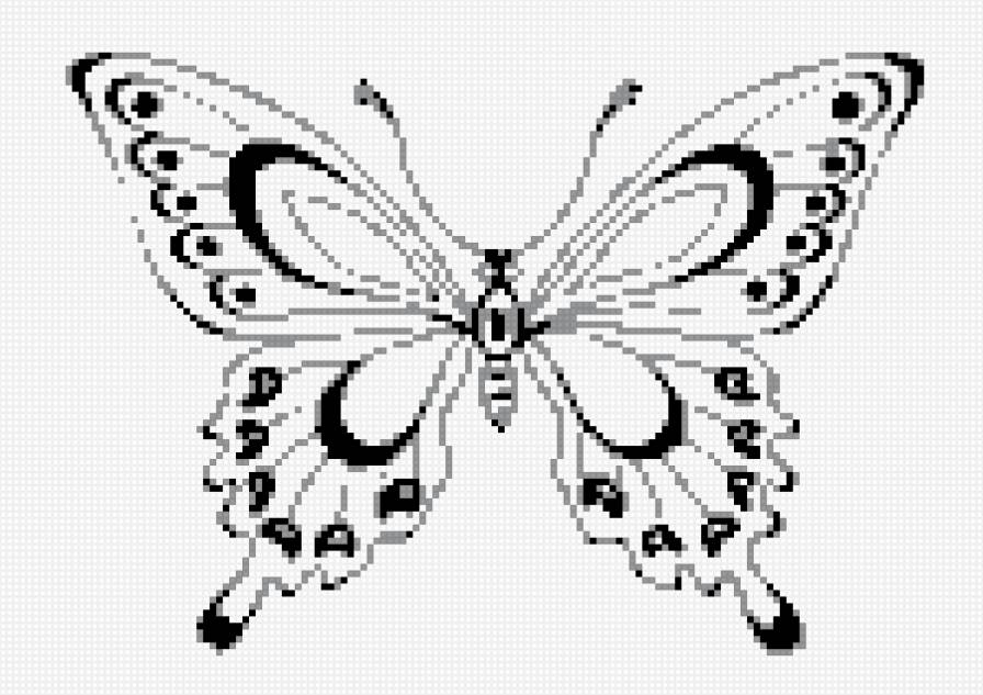 бабочка - предпросмотр