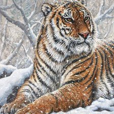 Схема вышивки «тигр - символ величия и мощи»