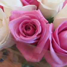 Схема вышивки «53890»