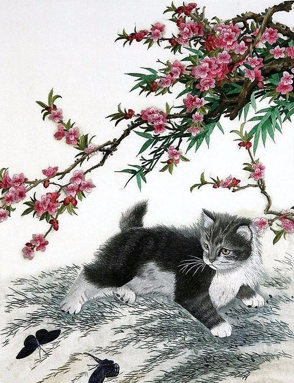 Ветка сакуры - ветка, котенок, цветение - оригинал