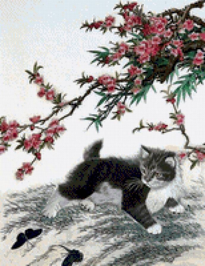 Ветка сакуры - котенок, ветка, цветение - предпросмотр