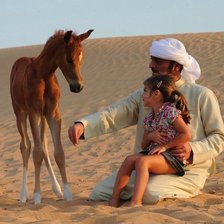 Схема вышивки «бедуин»