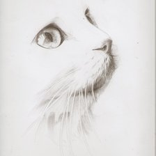 Схема вышивки «белый кот»