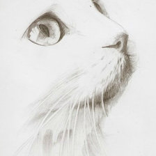 Схема вышивки «№1054265»