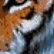 Предпросмотр схемы вышивки «Тигры» (№1054394)