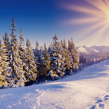 Схема вышивки «зима»