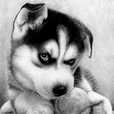 Схема вышивки «щенок»