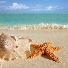 Схема вышивки «ракушка и звезда»