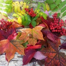 Схема вышивки «Осенний букет»