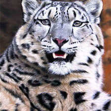 Схема вышивки «Леопард»