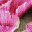 Предпросмотр схемы вышивки «цветы» (№1055147)