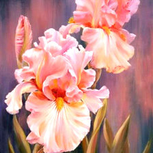 Схема вышивки «Цветы»