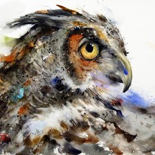 Сова акварель